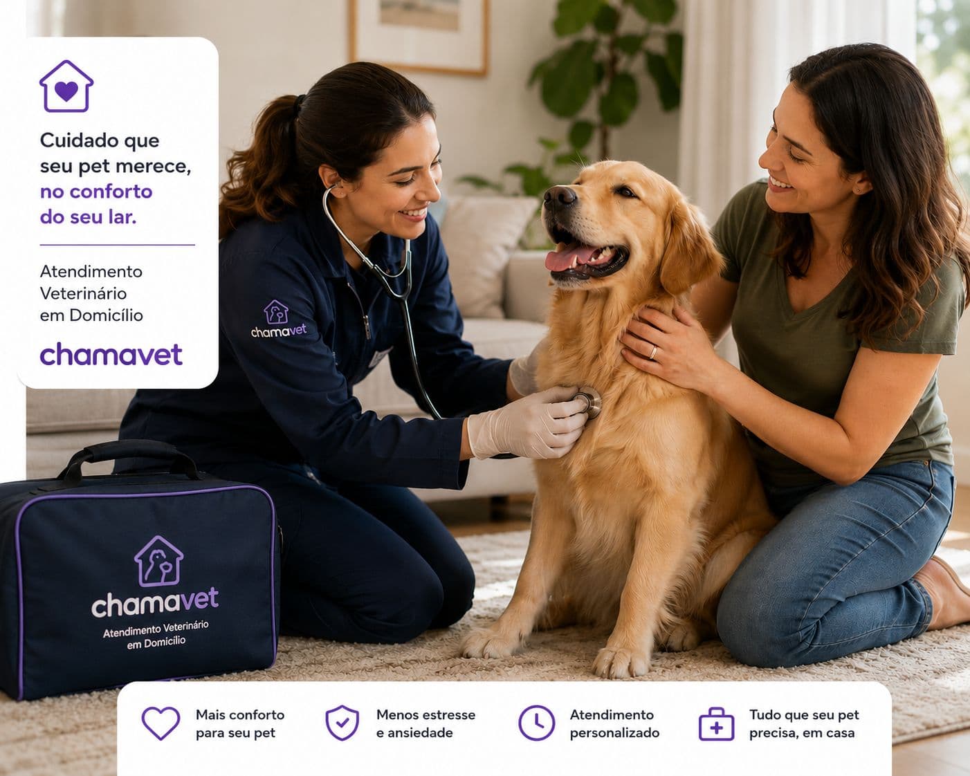 Atendimento veterinário domiciliar